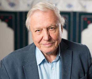 bbc david