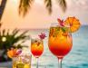 The Caribbean World of Cocktails:Twelve Drinks. Twelve Islands. One Irresistible Spirit.