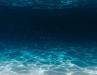 Ocean Treaty Signed to Protect Marine Life