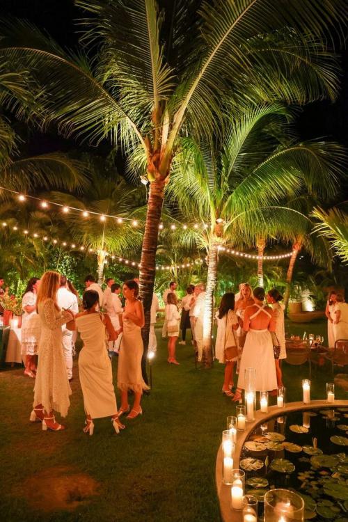 This may contain: a group of people standing around each other in front of palm trees and water at night